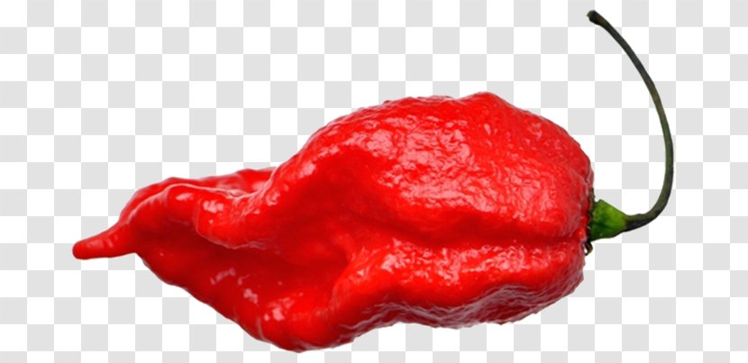 Habanero Tabasco Pepper Piquillo Cayenne Trinidad Moruga Scorpion - Scoville Unit - Bhut Jolokia Transparent PNG