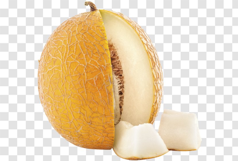 Honeydew Winter Squash Cucurbita Commodity - Fruit Transparent PNG