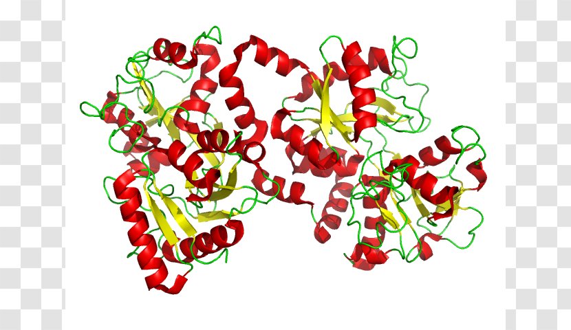 Lactoferrin: Structure, Biological Functions, Health Benefits And Clinical Applications Protein Research - Market - Inhibiting Bacterial Growth Transparent PNG