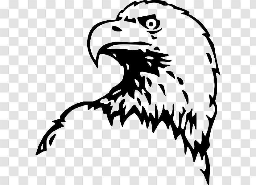 Bald Eagle Cross Peña Del Águila Clip Art - Facial Hair Transparent PNG