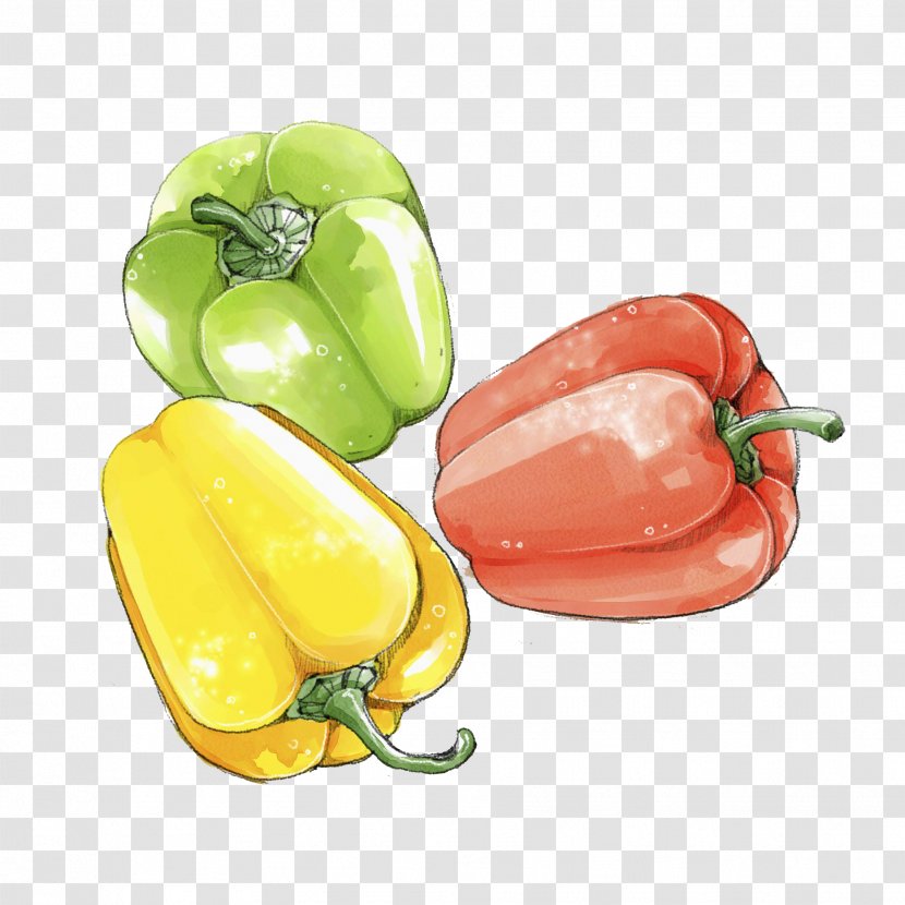 Habanero Bell Pepper Jalapexf1o Friggitello Yellow - Red - Colored Persimmon Transparent PNG