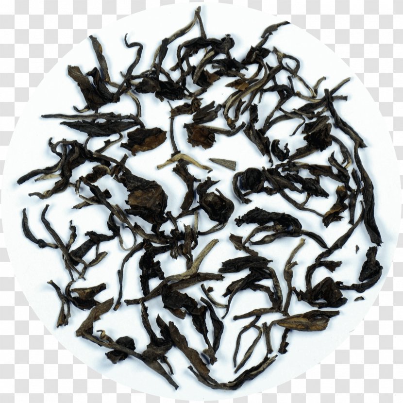 Nilgiri Tea Dianhong Golden Monkey Plant - Tieguanyin Transparent PNG