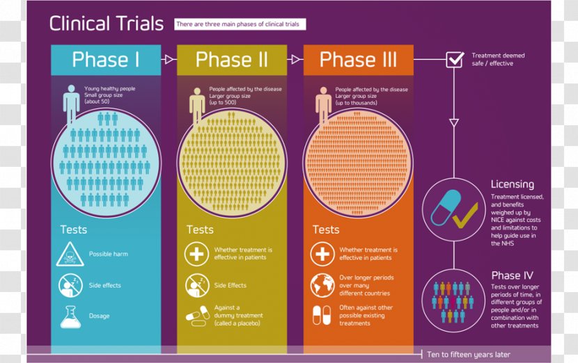 Clinical Trial Phases Of Research Contract Organization - Text - Medical Writing Transparent PNG