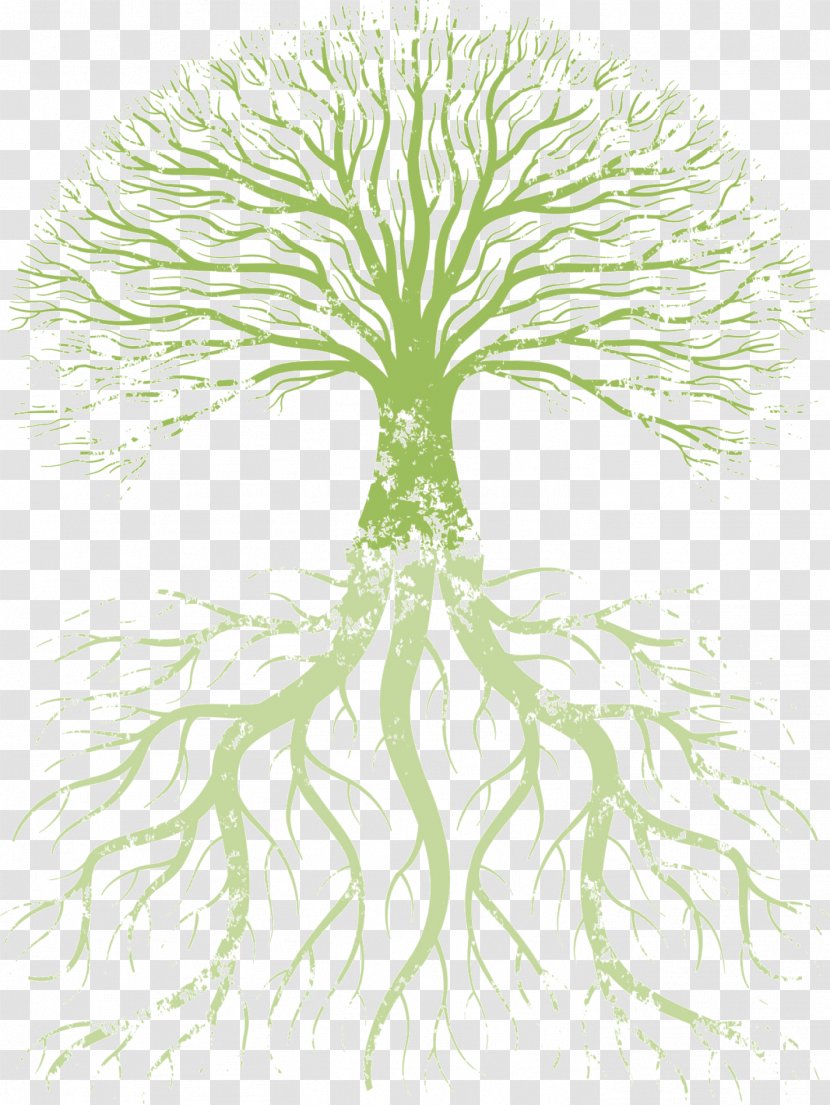 Family Tree Root Of Life Transparent PNG