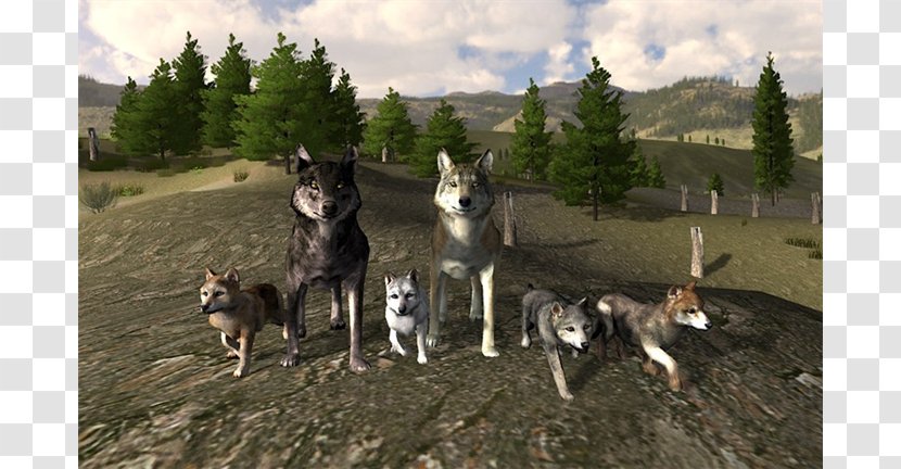Siberian Husky WolfQuest Gray Wolf Czechoslovakian Wolfdog Roblox - Minecraft Transparent PNG