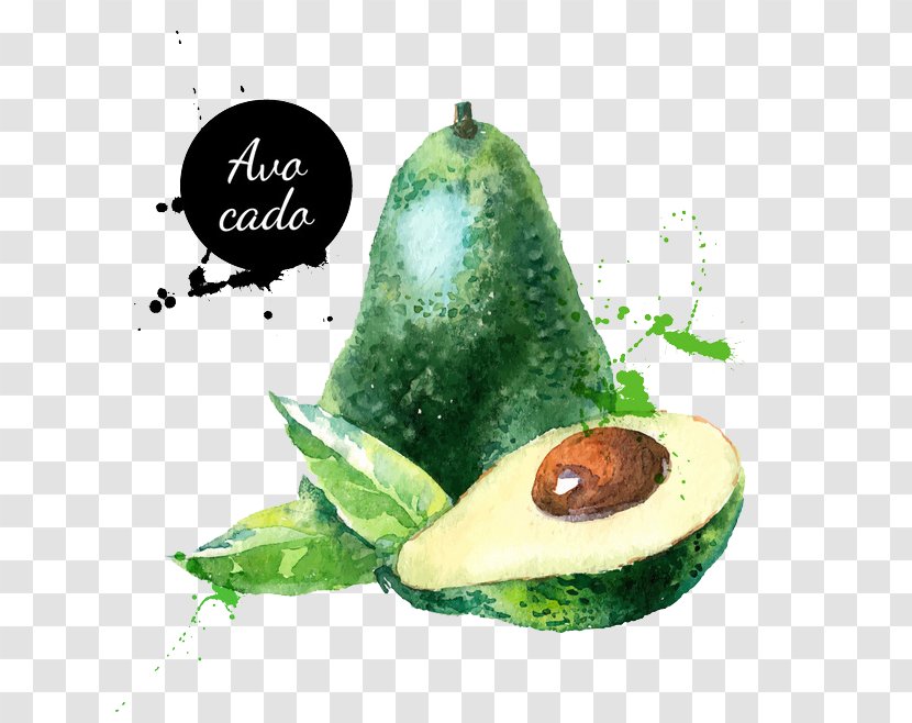 Avocado Watercolor Painting Fruit Illustration - Eating Transparent PNG