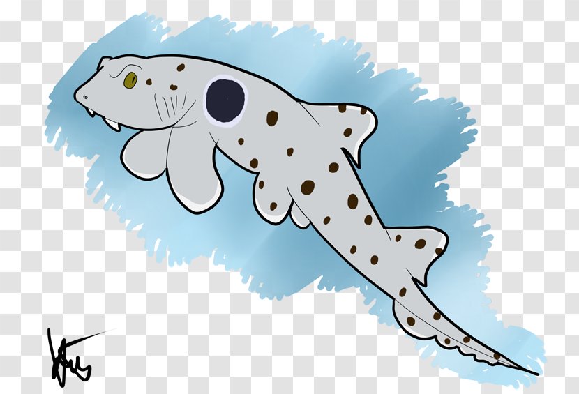 Epaulette Shark Drawing Bull - Sharks Transparent PNG