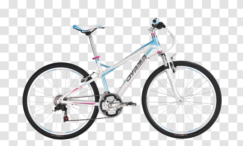 Bicycle Shop Raleigh Company Specialized Crossroads Step-through Frame - Flower Transparent PNG