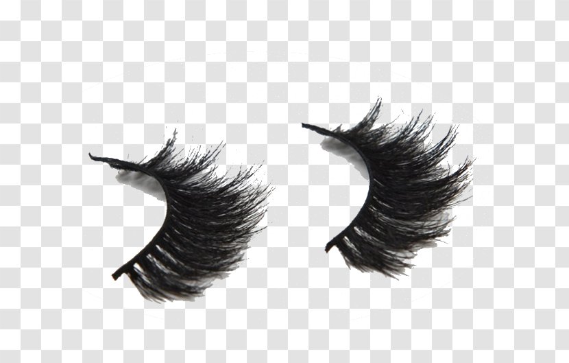 Eyelash Extensions Horse Cosmetics Fur - Extention Transparent PNG