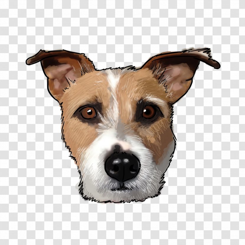Dog Breed Jack Russell Terrier Greyhound Companion - Working - A With Gold Ingot Transparent PNG