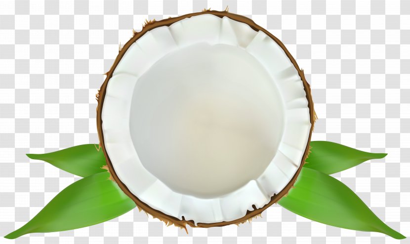 Tableware - Coconut Water - Transparent Clip Art Image Transparent PNG