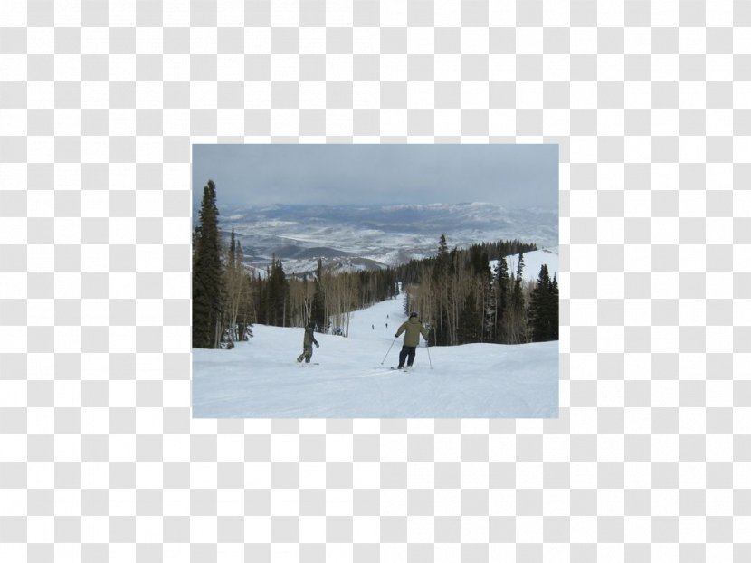 Snow Ski Sporting Goods Tree Sky Plc - Winter - Resort Transparent PNG