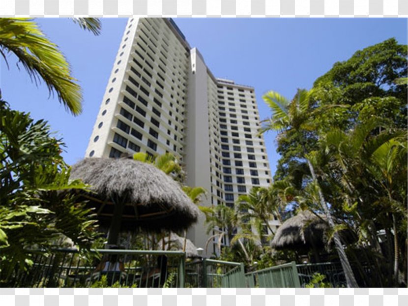 BreakFree Acapulco Longbeach Hotel Trivago NV Resort - Palm Tree - Surfers Paradise Transparent PNG