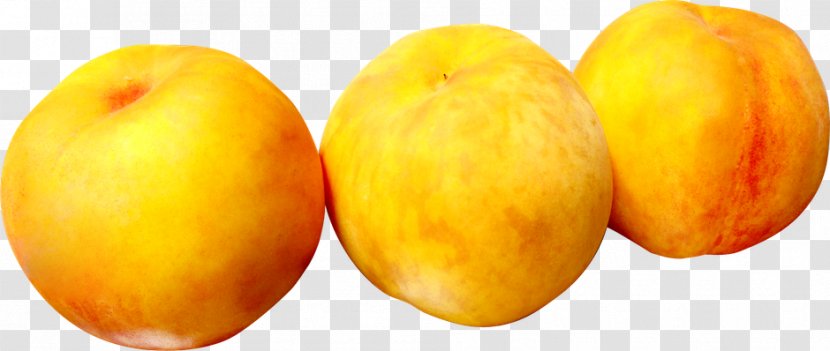 Fruit Peach - Food - Branch Transparent PNG