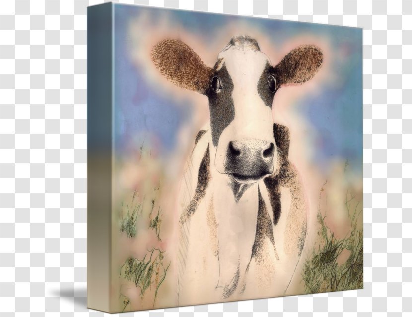Dairy Cattle Sheep Goat Wildlife - Goats Transparent PNG