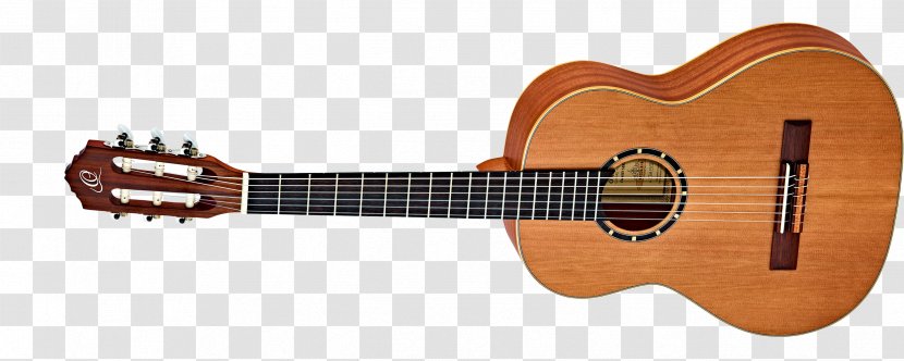 Taylor Guitars Twelve-string Guitar String Instruments Acoustic - Frame Transparent PNG