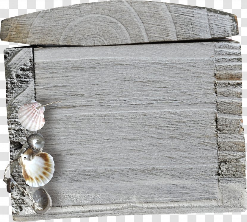 Great Scallop - Wood Transparent PNG