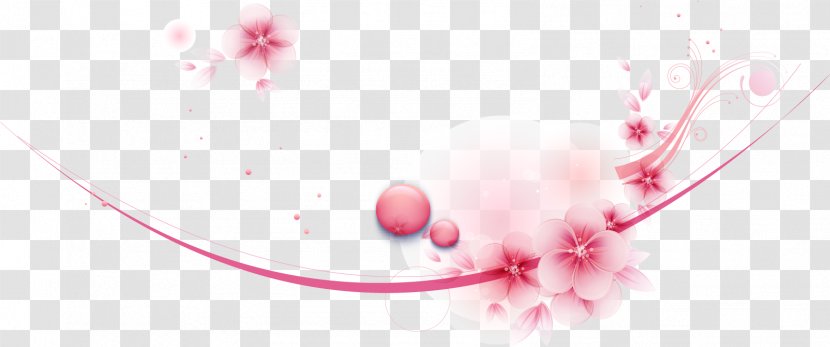 Graphic Design Pink Cherry Blossom Euclidean Vector - Rgb Color Model - Beautiful Blossoms Transparent PNG