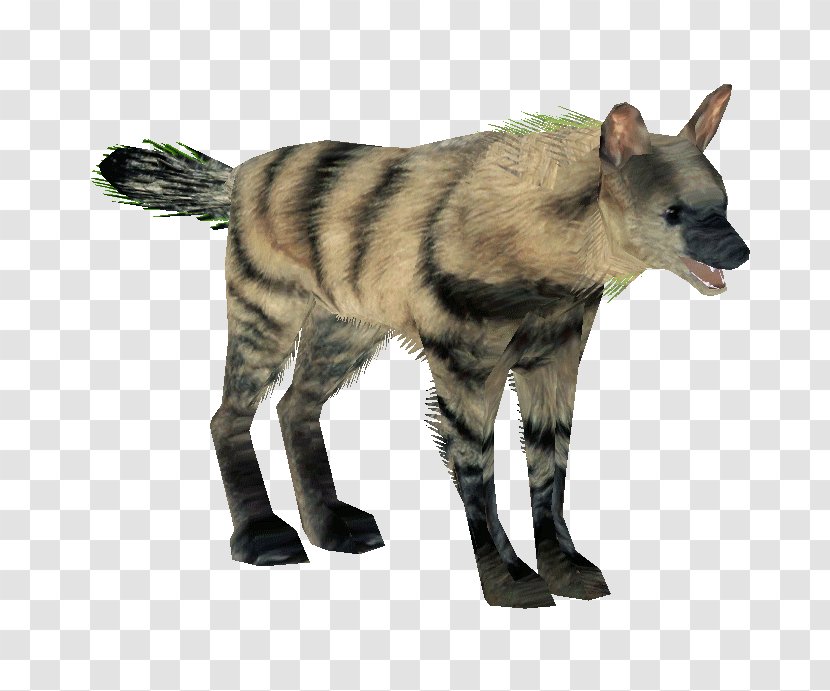 Hyena Aardwolf Mammal Carnivora Transparent PNG