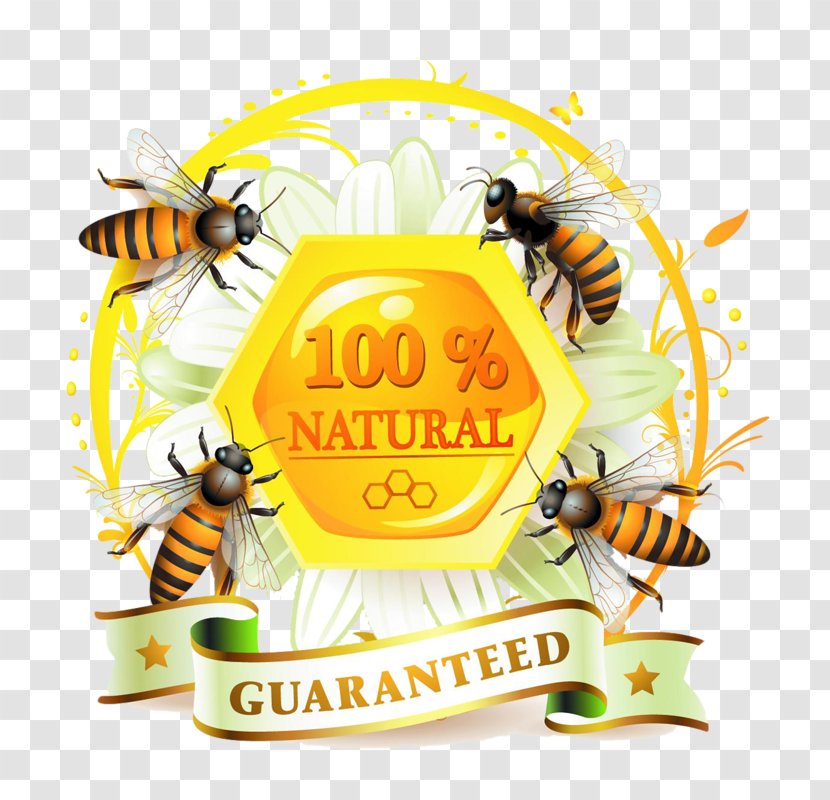 Honey Bee Label - Fruit Transparent PNG