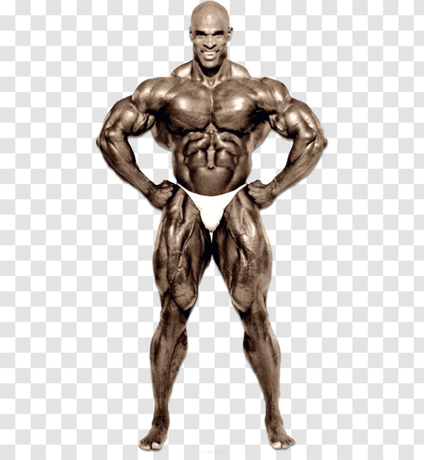 Ronnie Coleman: The Unbelievable 2000 Mr. Olympia Bodybuilding Squat - Cartoon Transparent PNG