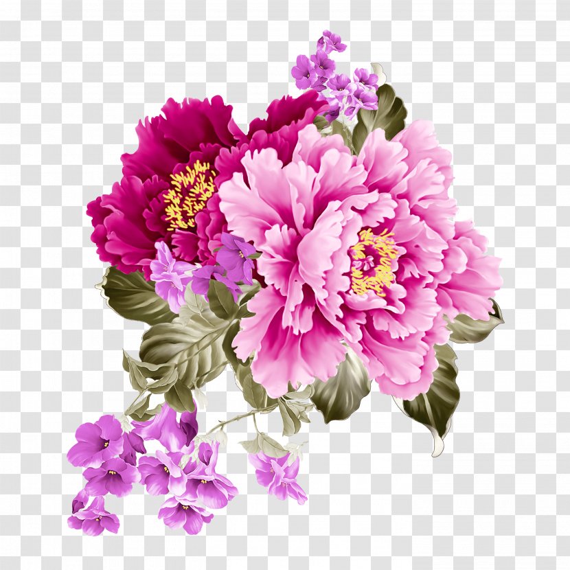 Flower Flowering Plant Petal Pink - Peony - Carnation Chinese Transparent PNG