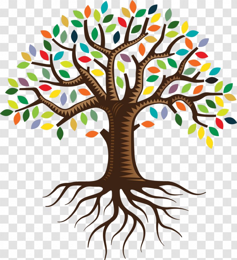 Tree Root Color Clip Art - Drawing - Plan Transparent PNG