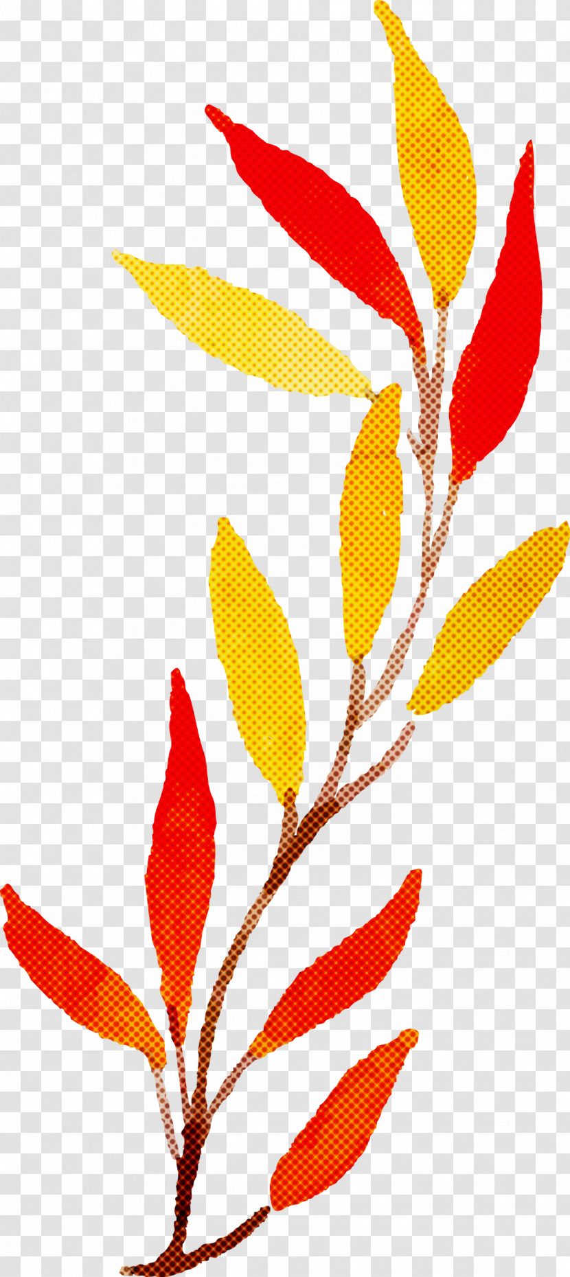 Autumn Leaf Colorful Leaf Transparent PNG