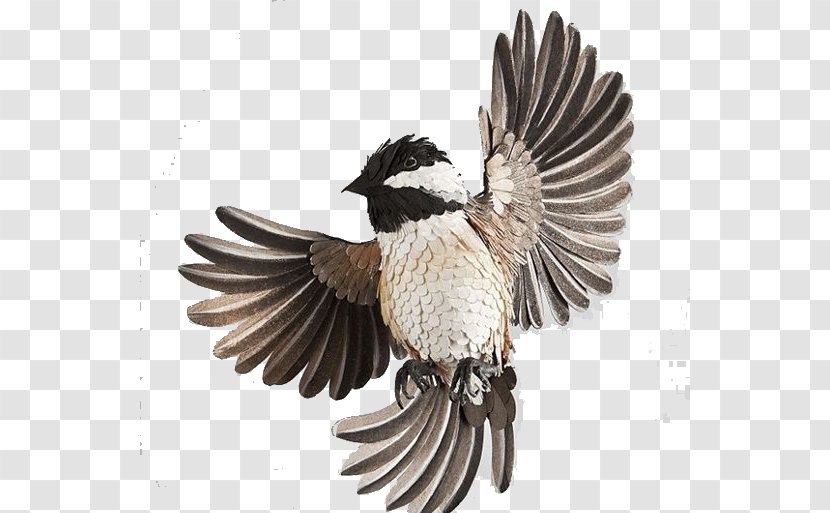 Bird Paper Sculpture Art - Fauna - Flying Transparent PNG