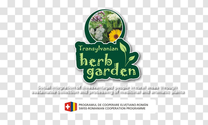 Logo Brand Font - Herb Garden Transparent PNG