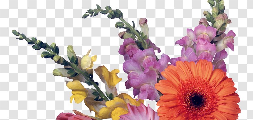 Floral Design Desktop Wallpaper Cut Flowers 1080p - Suite Transparent PNG