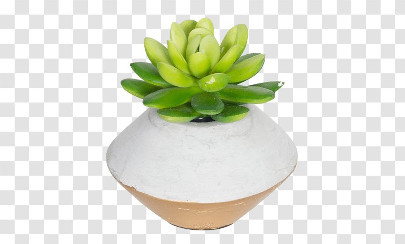 Flowerpot Succulent Plant Cactaceae Gold - Jewellery Transparent PNG