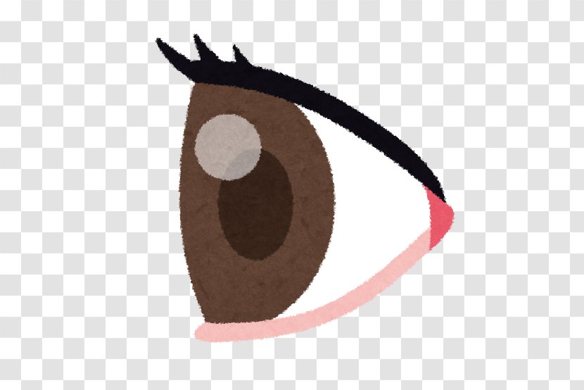 Dry Eye Syndrome Ophthalmology Rheum Retina - Beak Transparent PNG