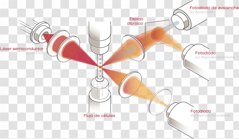 Reticulocyte Hematology Flow Cytometry Red Blood Cell - Analyser Transparent PNG