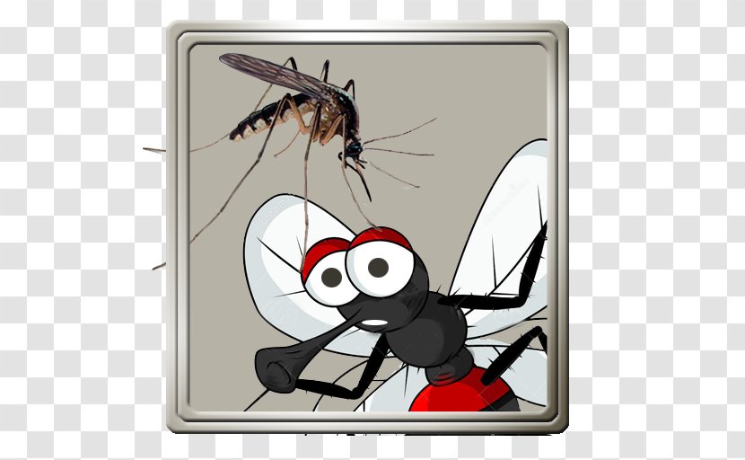 Mosquito Cartoon - Comics - Ghost Warrior Transparent PNG