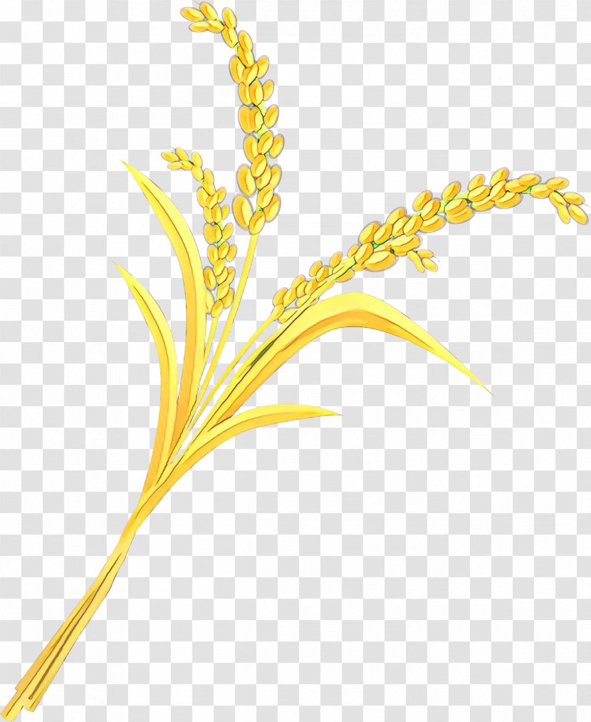 Rice Vector Graphics Cereal Image - Goldenrod Transparent PNG