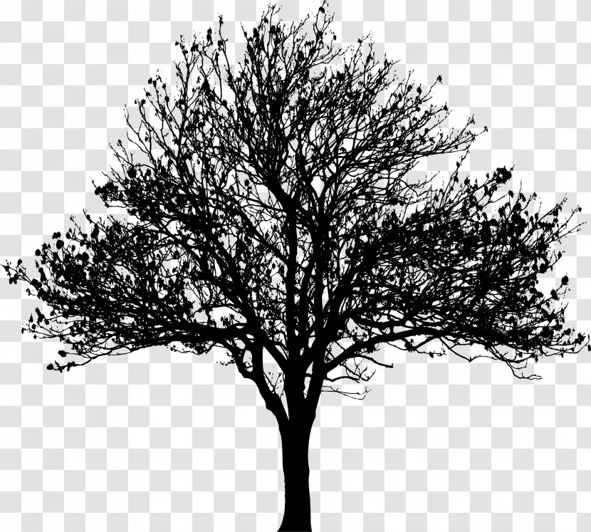 Tree Silhouette Drawing Clip Art - Leaf - Love Transparent PNG