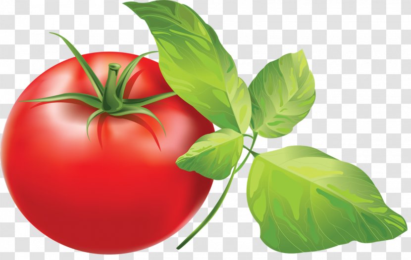 Cherry Tomato Italian Pie Clip Art - Herbal Transparent PNG