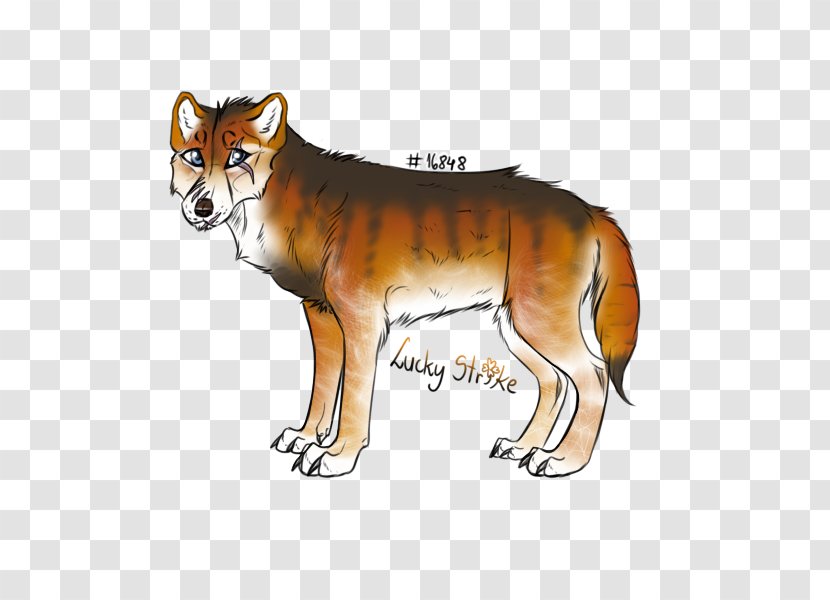 Dingo Red Fox Dhole Dog Wolf Transparent PNG