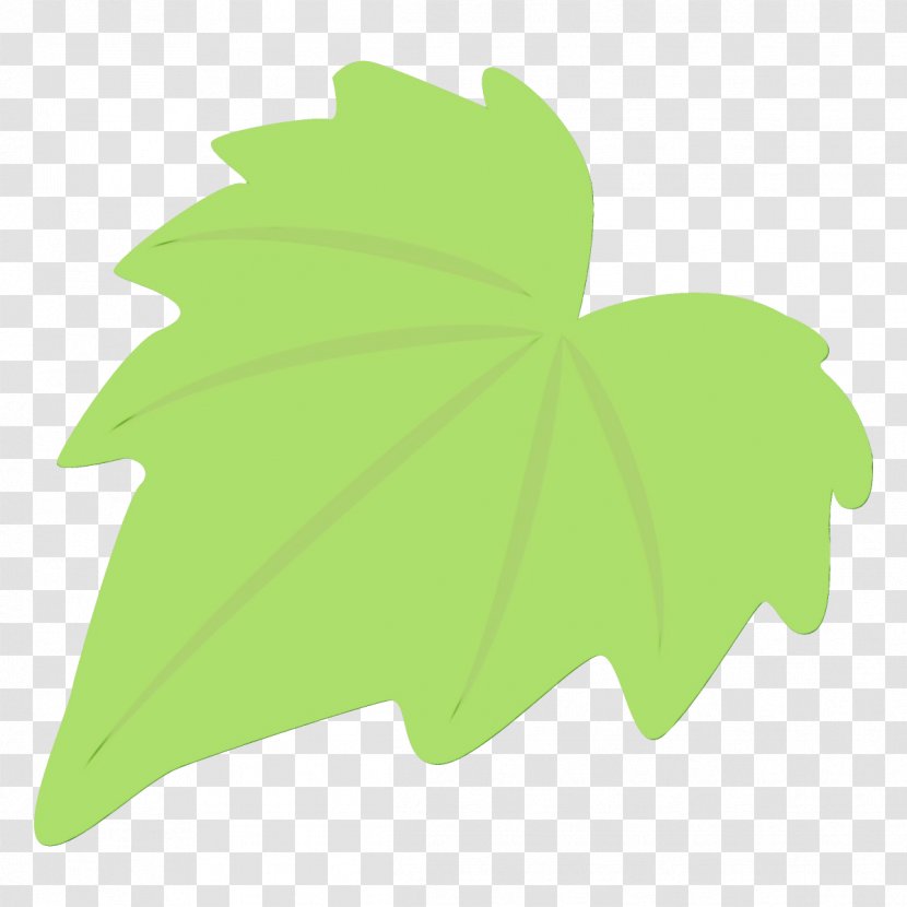 Maple Leaf - Plane - Ivy Transparent PNG