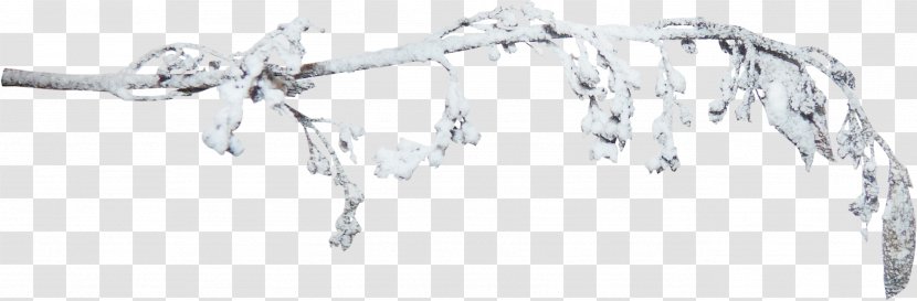 Branch Clip Art - Software - Winter Snow-covered Transparent PNG