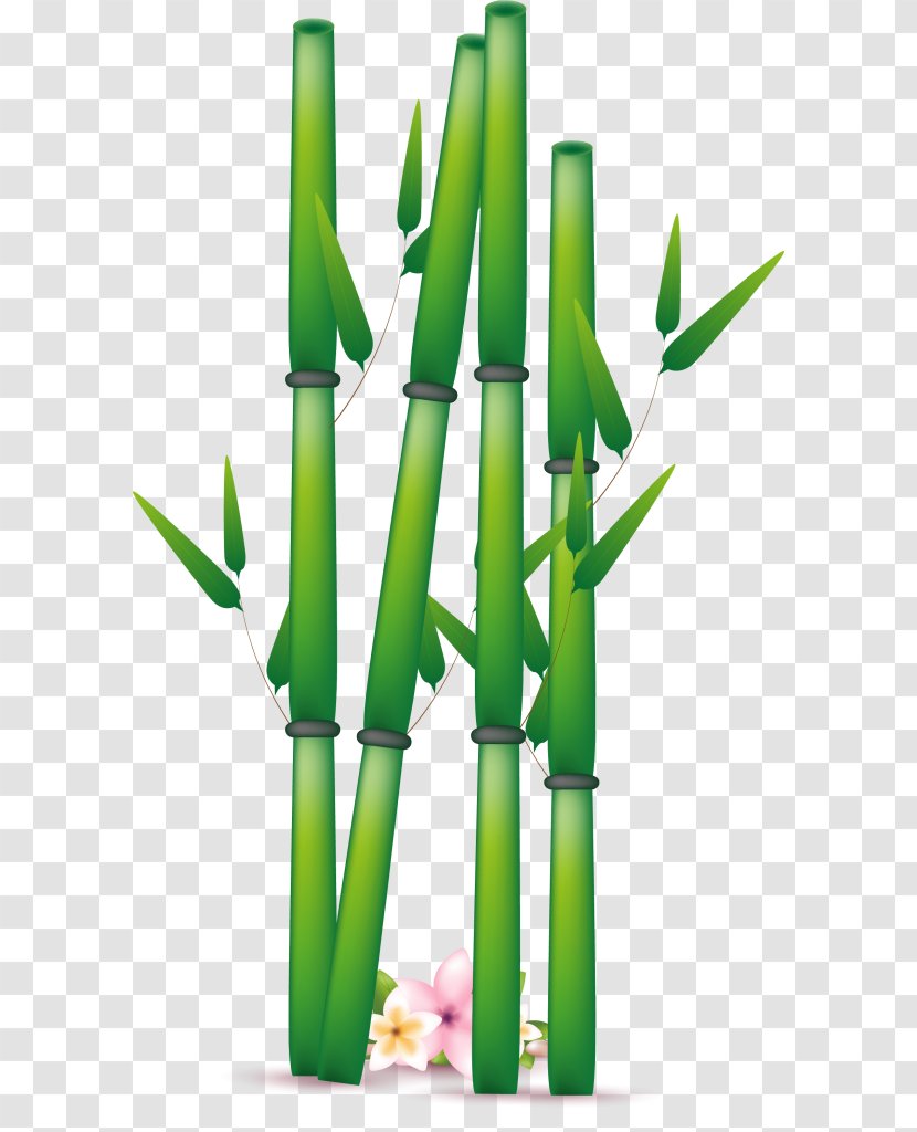 Flowerpot Grass Bamboo Transparent PNG