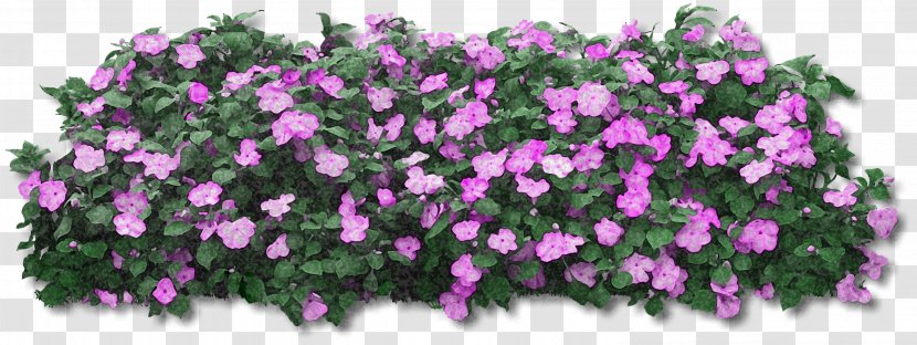 Flower Rendering - Purple Transparent PNG
