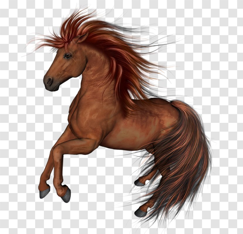 Clip Art Mustang Arabian Horse Sticker - Black Stallion Transparent PNG