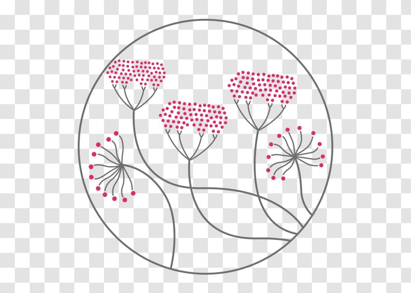 Floral Design Circle Cut Flowers Flowering Plant Pattern - Flora Transparent PNG