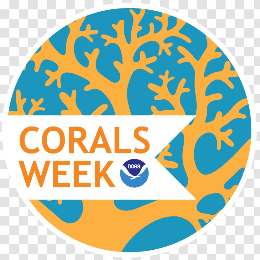 Coral Reef Marine Ecosystem - Animal - Corals Transparent PNG