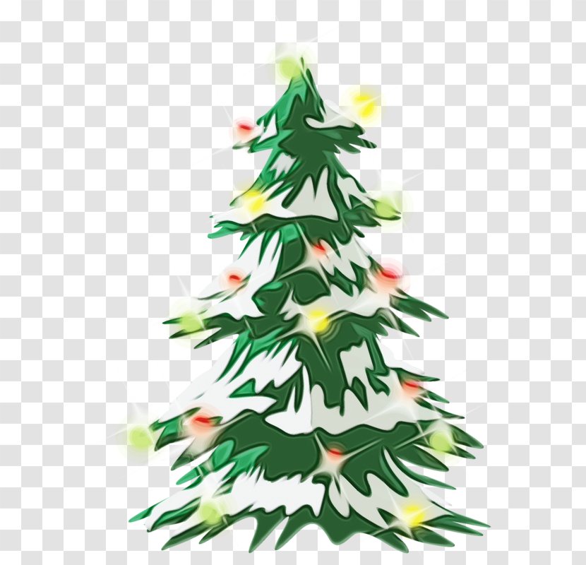 Christmas Tree - White Pine - Evergreen Transparent PNG