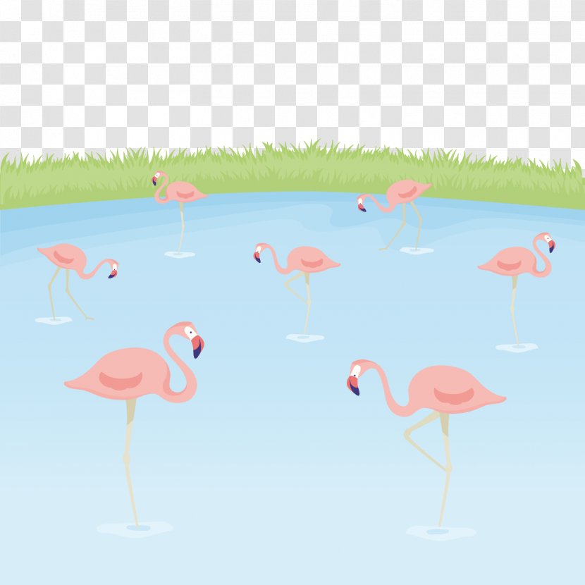 Greater Flamingo Bird - Vecteur - Vector Transparent PNG