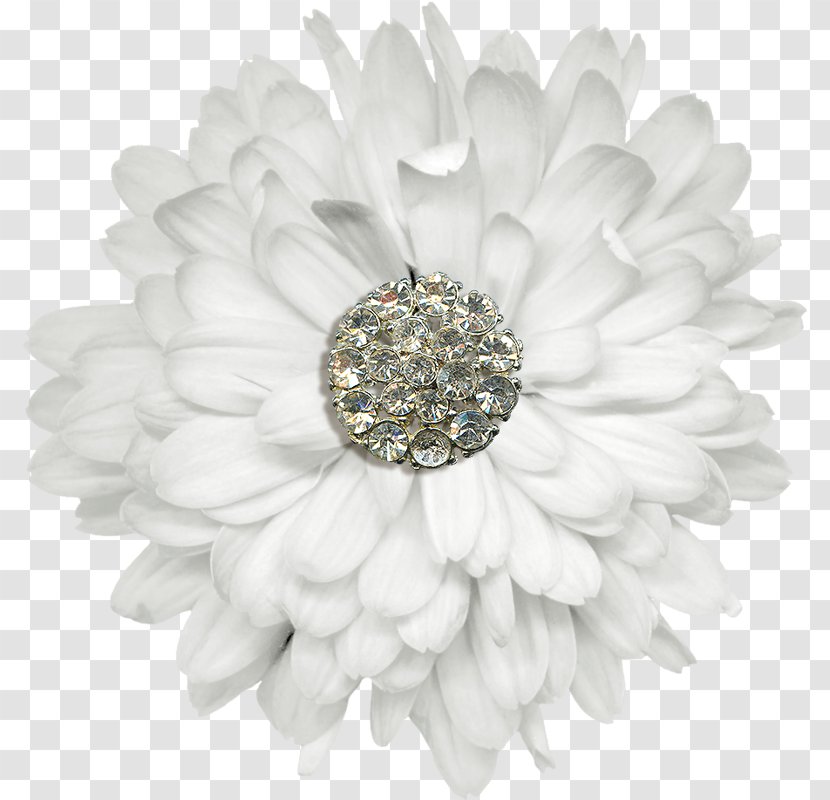 Transvaal Daisy Jewellery Transparent PNG