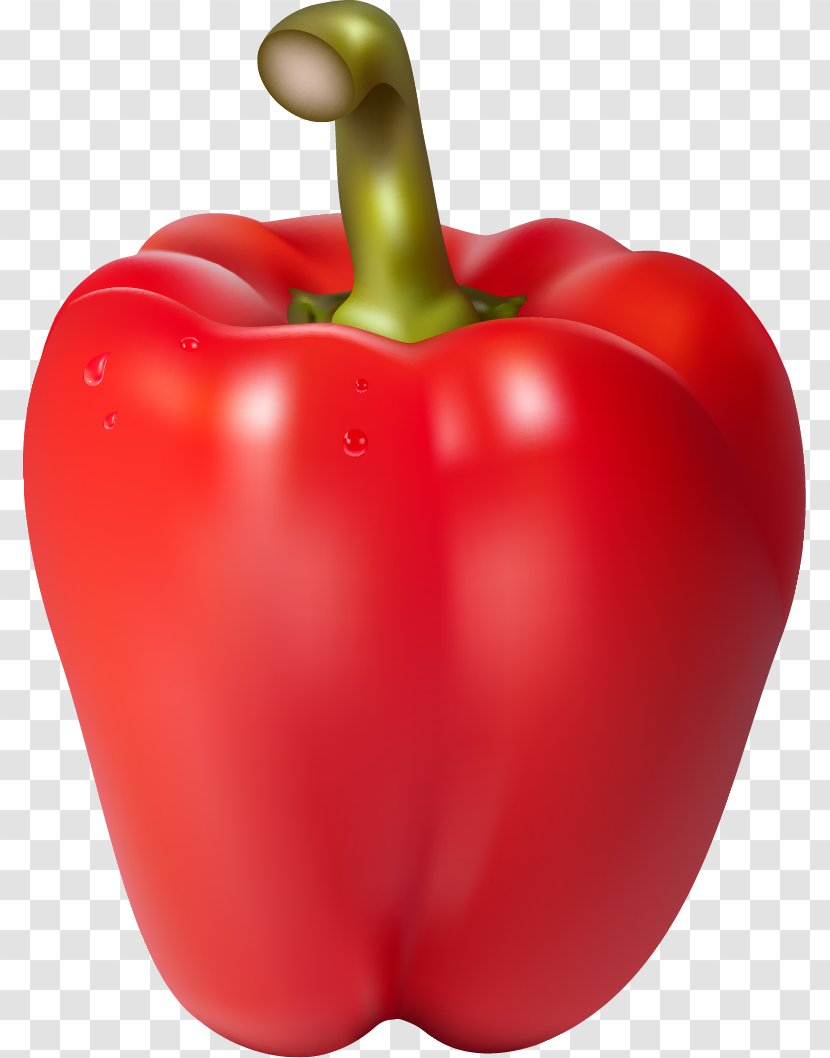 Chili Con Carne Bell Pepper Habanero - Vegetable Transparent PNG